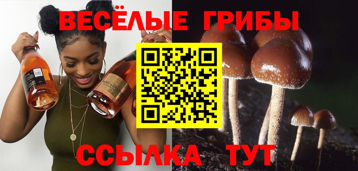 Ишим  Псилоцибиновые грибы мицелий  Вход с VPN  Псилоцибиновые грибы ЛСД 