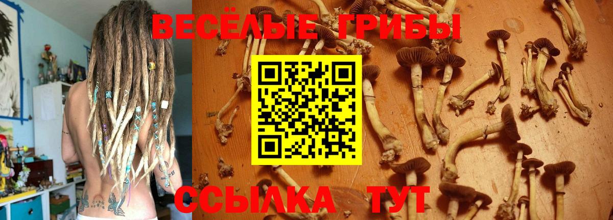 Галлюциногенные грибы Magic Shrooms Ишим